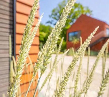 Daire De Ole School Ferienapartments Boho14 - Modernes Maisonette-apartment Mit Dachterrasse